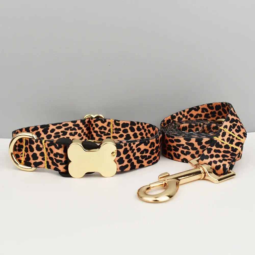 Laisse gravée personnalisée - Collar Leash Set 03 / S