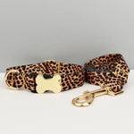 Laisse gravée personnalisée - Collar Leash Set 03 / S