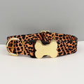 Laisse gravée personnalisée - Dog collar03 / L