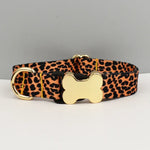 Laisse gravée personnalisée - Dog collar03 / L