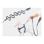 Laisse pour animaux Truelove Floral