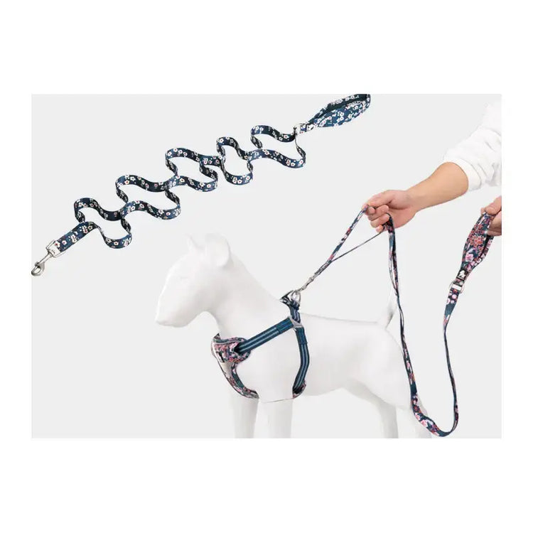 Laisse pour animaux Truelove Floral