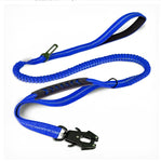 Laisse robuste pour chien - DarkBlue