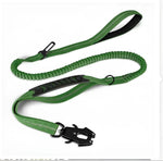 Laisse robuste pour chien - Green