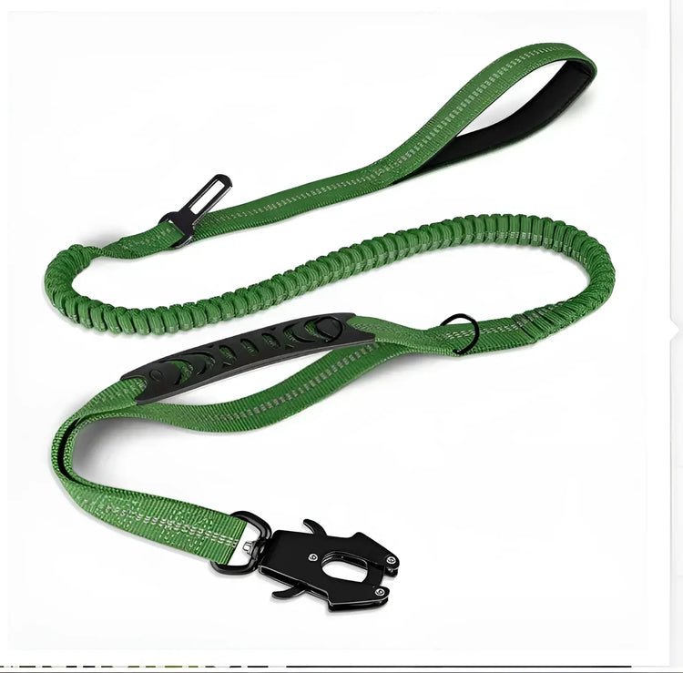 Laisse robuste pour chien - Green