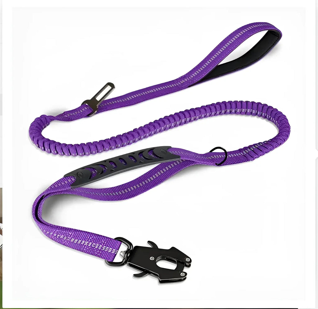 Laisse robuste pour chien - Purple