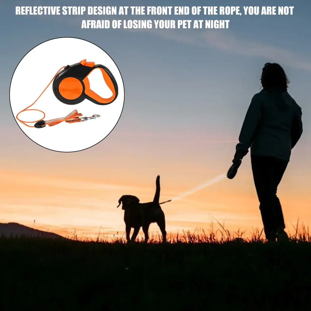 Laisse pour promener son animal