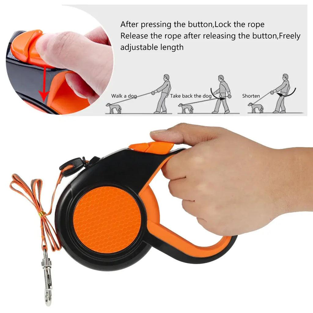 Laisse pour promener son animal