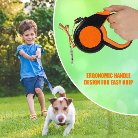 Laisse pour promener son animal