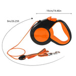 Laisse pour promener son animal
