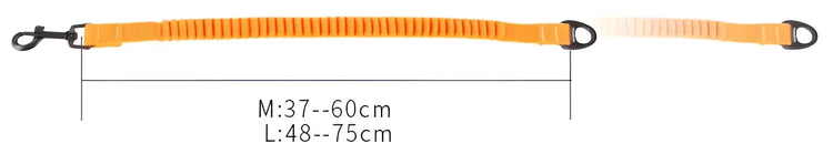 Truelove Short Bungee Dog Nylon Leash Rope For dog collar Extension Retractable For All Breed Training Running walking