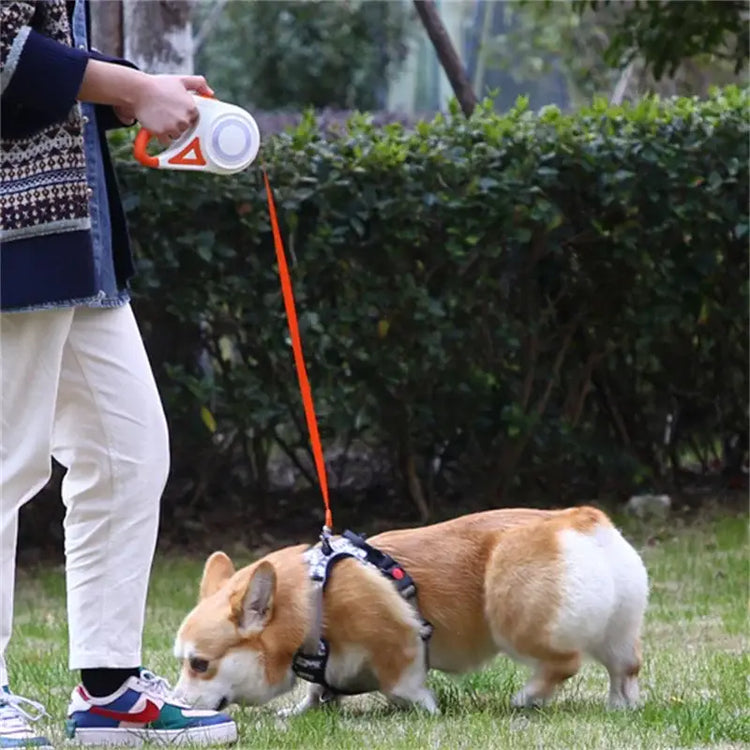 Laisse rétractable pour chien