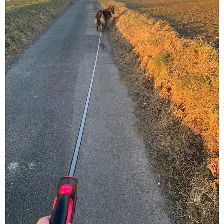 Laisse rétractable pour chien de 50 kg