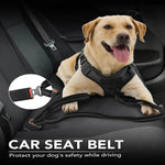 Laisse robuste pour chien