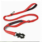 Laisse robuste pour chien
