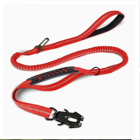 Laisse robuste pour chien