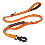 Laisse robuste pour chien - Orange