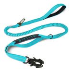 Laisse robuste pour chien - SkyBlue