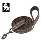 Laisse souple pour chien - Brown / S / france
