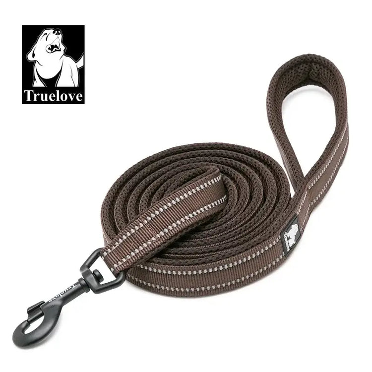 Laisse souple pour chien - Brown / S / france