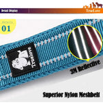 Laisse souple pour chien