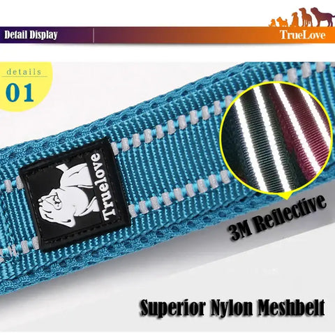 Laisse souple pour chien