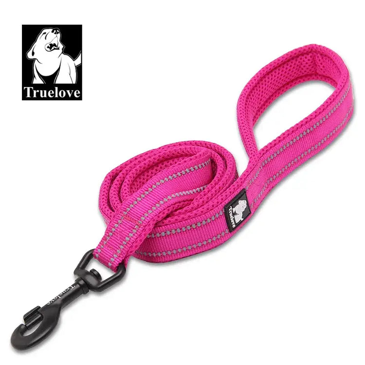 Laisse souple pour chien - Fuchsia / XS / france
