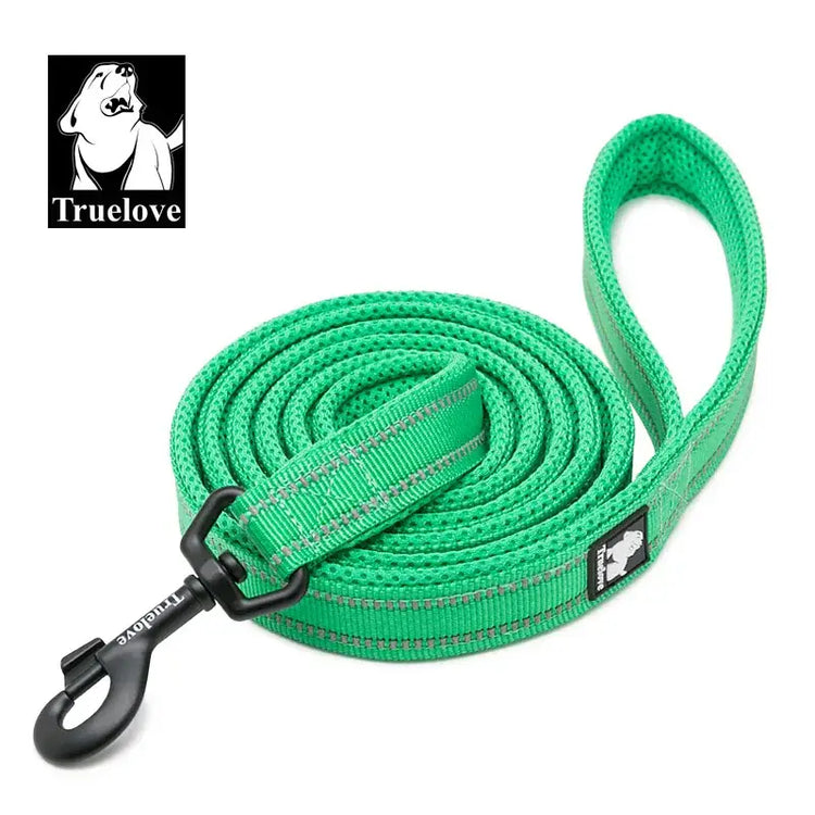 Laisse souple pour chien - Grass green / L / China Mainland