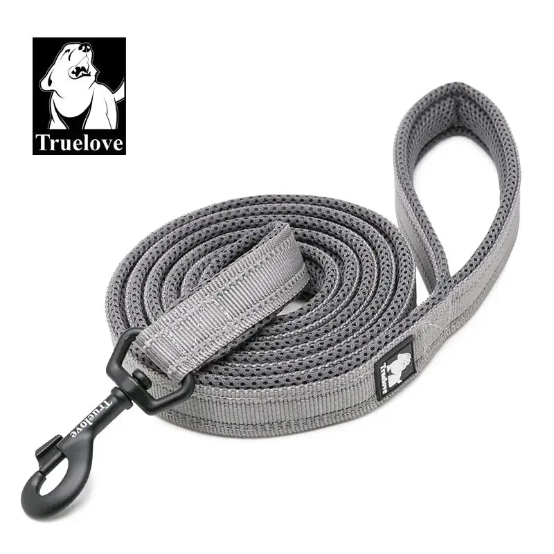 Laisse souple pour chien - Gray / XS / france