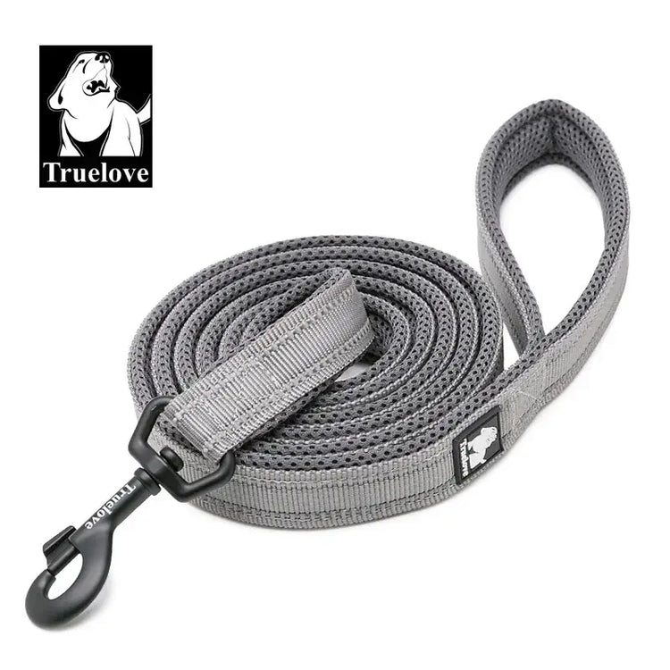 Laisse souple pour chien - Gray / XS / france