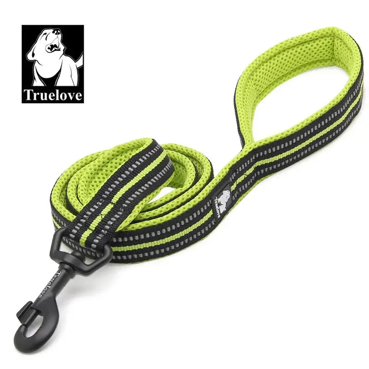 Laisse souple pour chien - Neon yellow / L / China Mainland