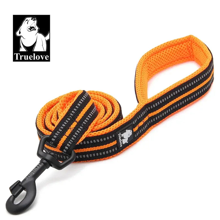 Laisse souple pour chien - Orange / L / france