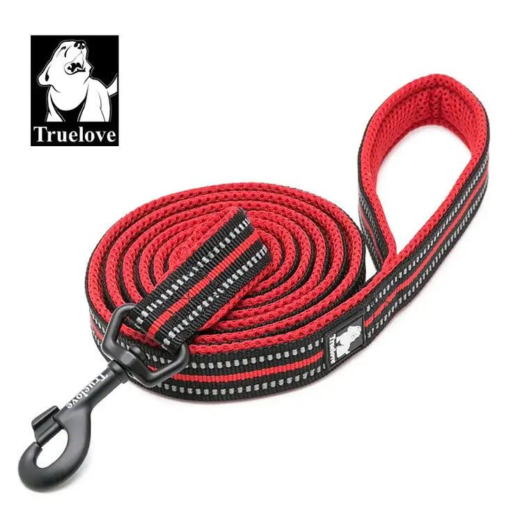 Laisse souple pour chien - Red / S / france