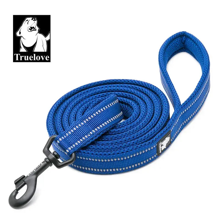 Laisse souple pour chien - Royalblue / L / france