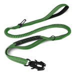 Laisses pour animaux de compagnie avec amortisseurs - Green