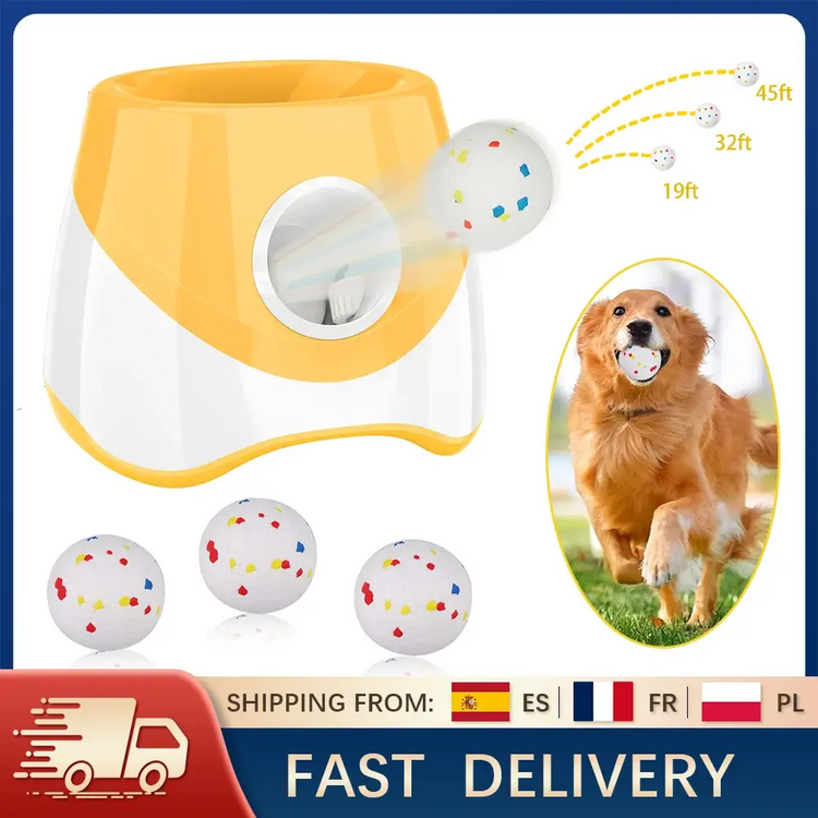 Lanceur de balles automatique pour chien PawFrance