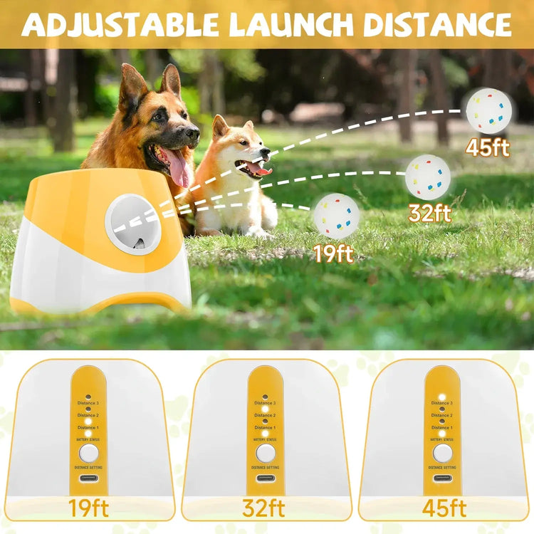 Lanceur de balles automatique pour chien PawFrance