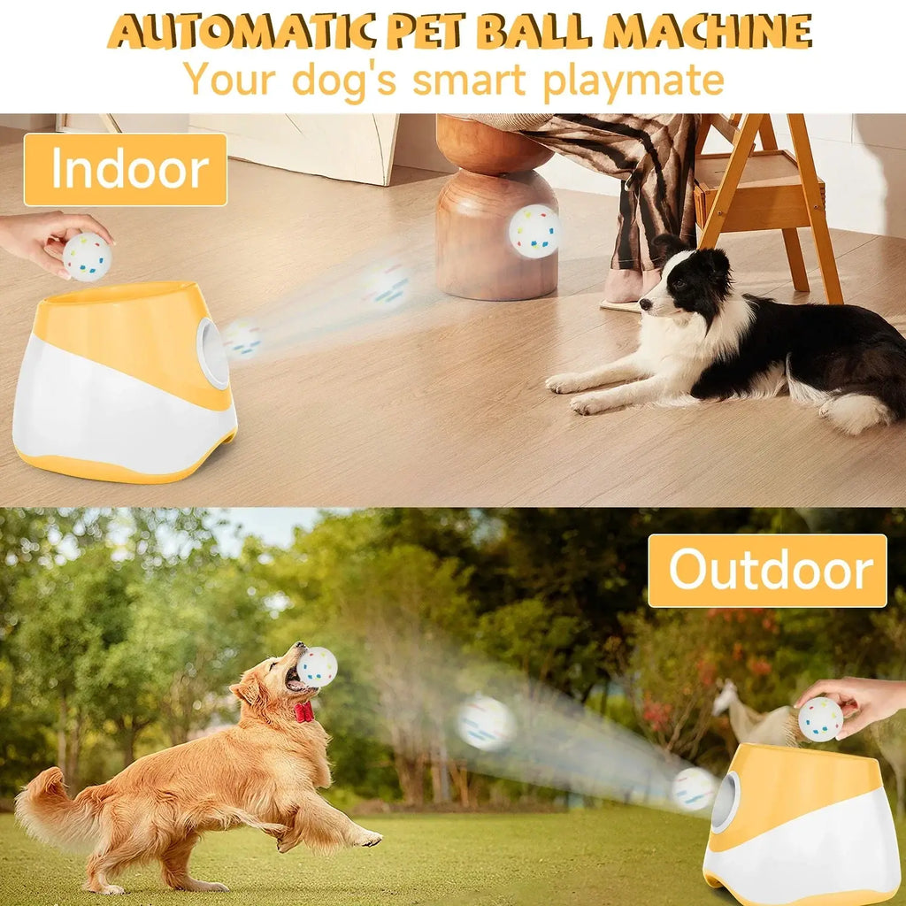 Lanceur de balles automatique pour chien PawFrance