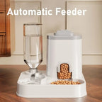 Large Capacity Pet Automatic Feeders and Water Dispensers Suitable for Cats and Dogs