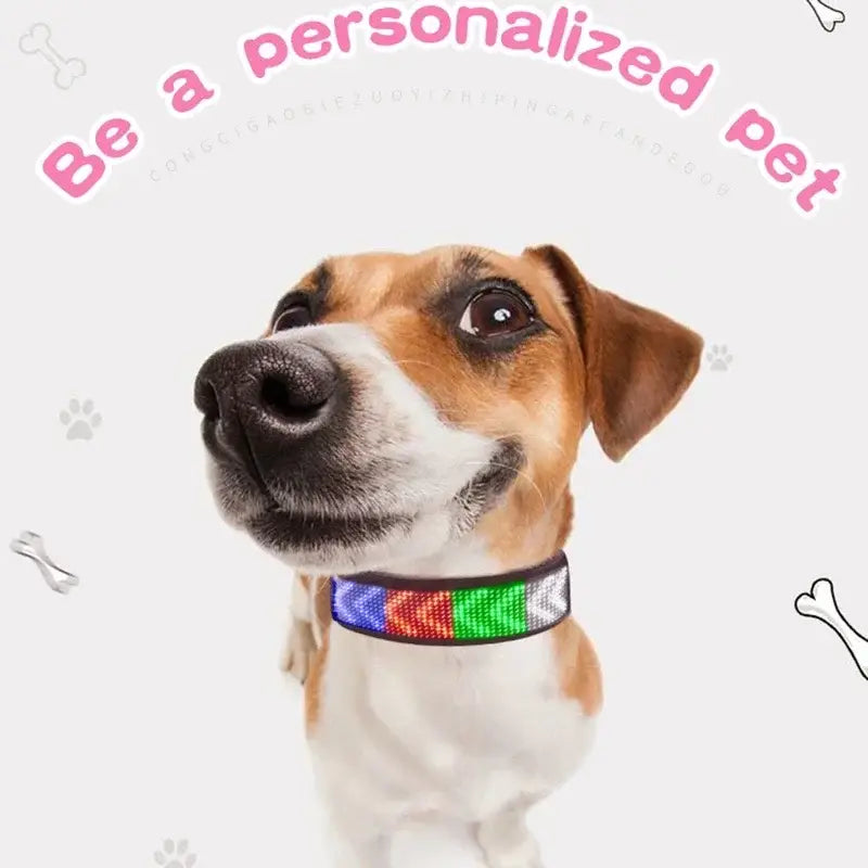 LED Dog Collar DIY ID LED Tag Nameplate Night Glowing Pet Collars Adjustable Safety Puppy Collar for Small Medium Large