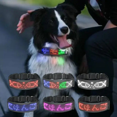 LED Dog Collar DIY ID LED Tag Nameplate Night Glowing Pet Collars Adjustable Safety Puppy Collar for Small Medium Large