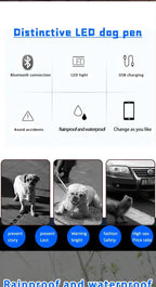LED Dog Collar DIY ID LED Tag Nameplate Night Glowing Pet Collars Adjustable Safety Puppy Collar for Small Medium Large