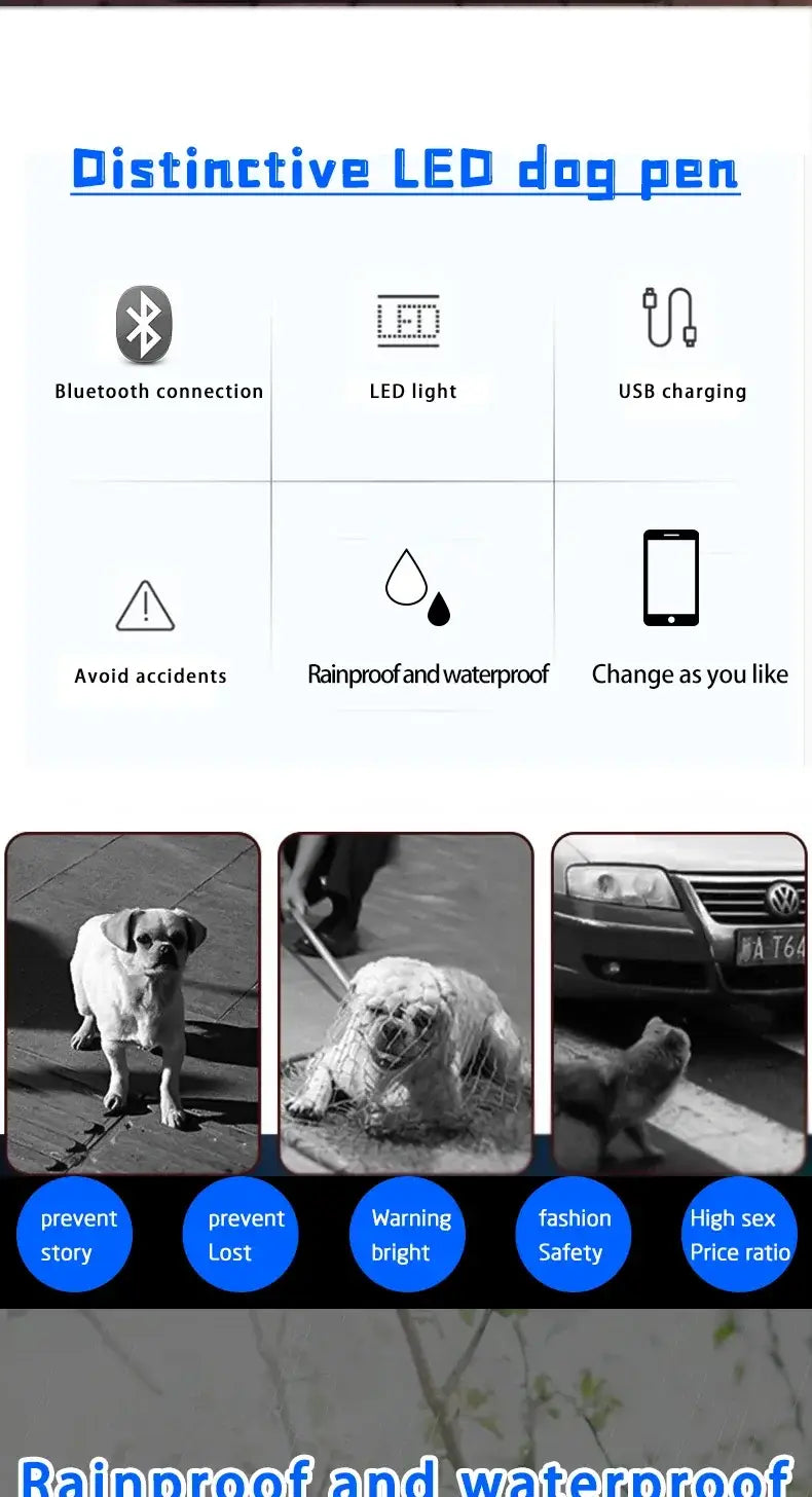 LED Dog Collar DIY ID LED Tag Nameplate Night Glowing Pet Collars Adjustable Safety Puppy Collar for Small Medium Large