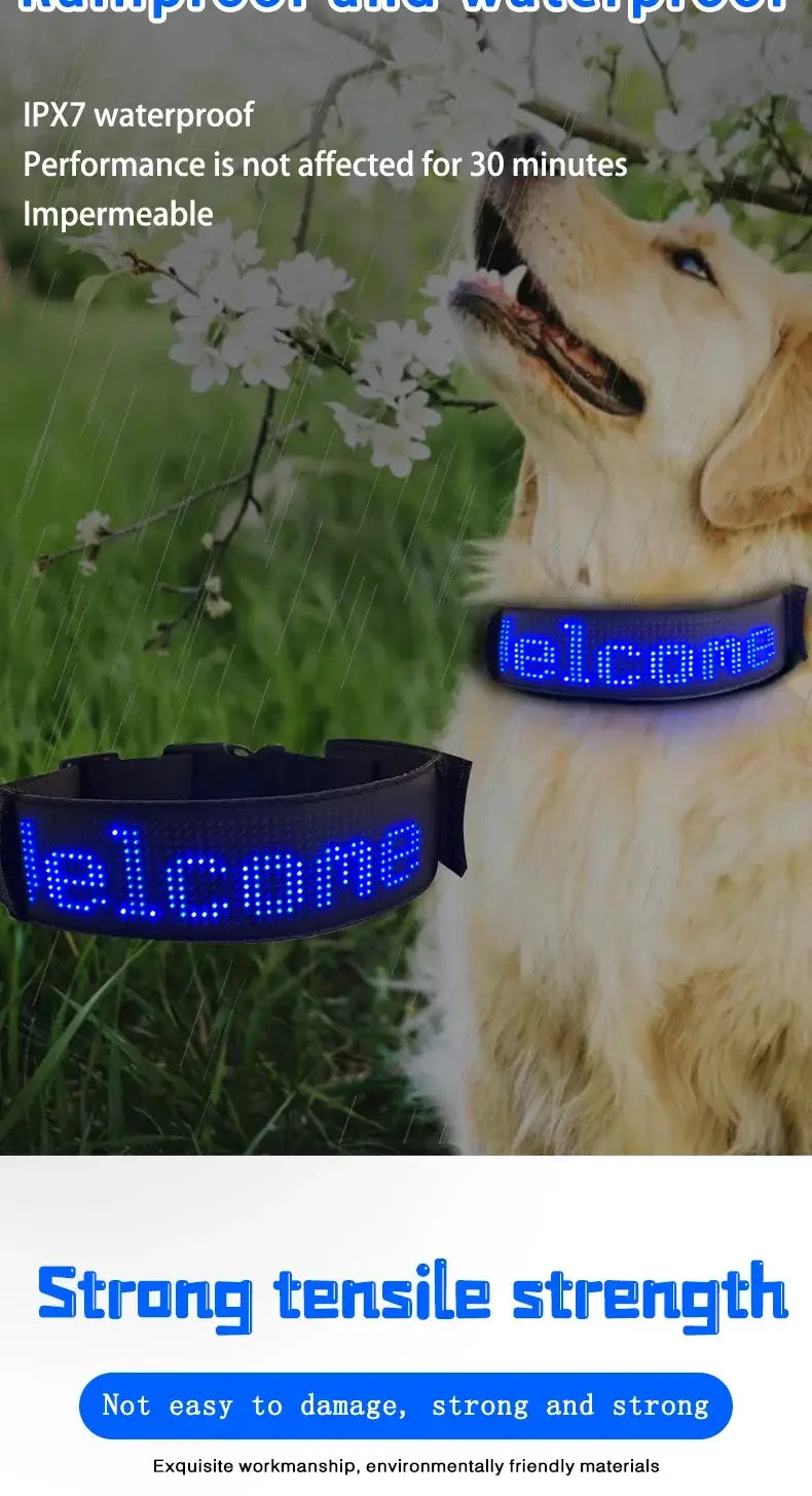 LED Dog Collar DIY ID LED Tag Nameplate Night Glowing Pet Collars Adjustable Safety Puppy Collar for Small Medium Large