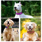 LED Dog Collar DIY ID LED Tag Nameplate Night Glowing Pet Collars Adjustable Safety Puppy Collar for Small Medium Large