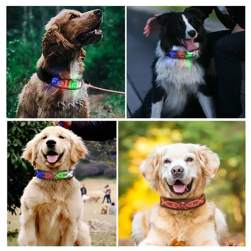 LED Dog Collar DIY ID LED Tag Nameplate Night Glowing Pet Collars Adjustable Safety Puppy Collar for Small Medium Large
