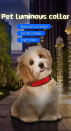LED Dog Collar DIY ID LED Tag Nameplate Night Glowing Pet Collars Adjustable Safety Puppy Collar for Small Medium Large
