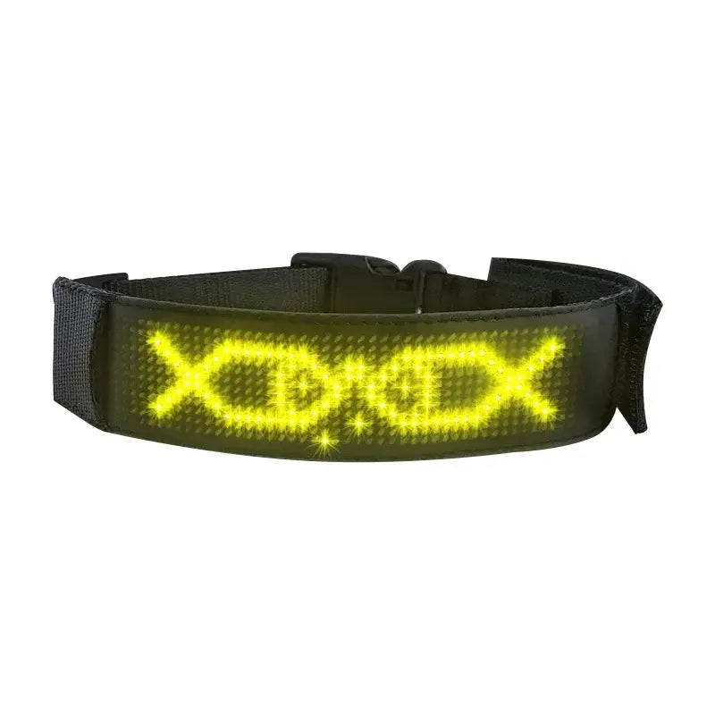 LED Dog Collar DIY ID LED Tag Nameplate Night Glowing Pet Collars Adjustable Safety Puppy Collar for Small Medium Large