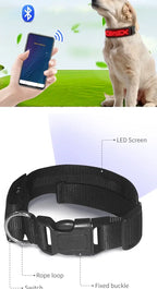 LED Dog Collar DIY ID LED Tag Nameplate Night Glowing Pet Collars Adjustable Safety Puppy Collar for Small Medium Large