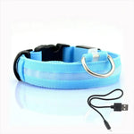 Led Dog Collar Light Anti-lost Collar For Dogs Puppies Night Luminous Supplies Pet Products Accessories USB